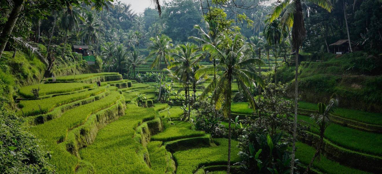 Landschaft auf Bali