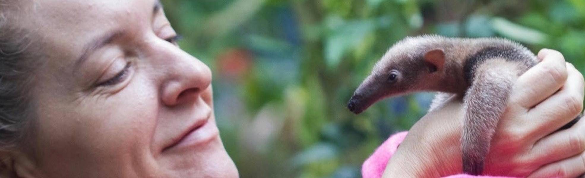 Sabbatical im Tierschutz in Costa Rica